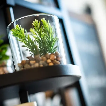 Gary Joli F2 Au Pied De La Gare De Apartamento Ruan