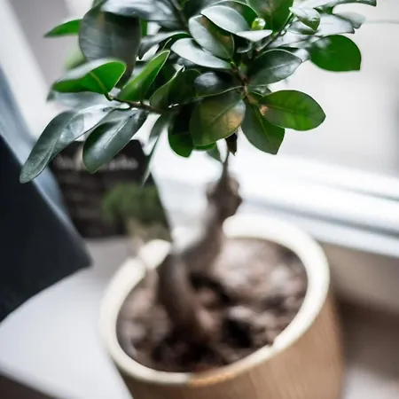 Gary Joli F2 Au Pied De La Gare De * Ruan